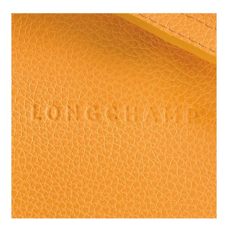 Apricot Orange Women's Longchamp Le Foulonné S Crossbody Bags | 70251-YGIF