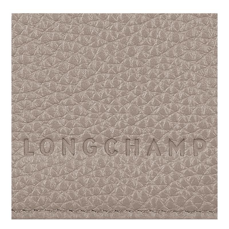 Turtledove Grey Men's Longchamp Le Foulonné Passport cover Passport Bag | 90246-GPKZ