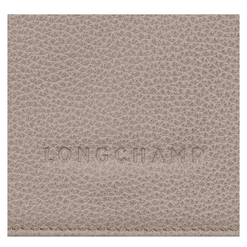 Turtledove Grey Men's Longchamp Le Foulonné Wallets | 79348-ZBQX